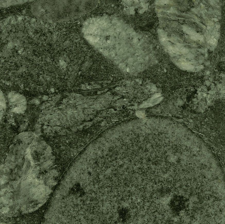 Verde Marinacce